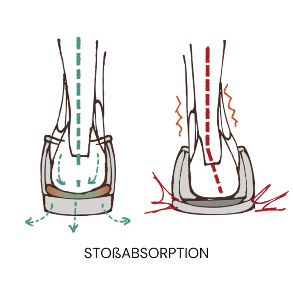 Rückenschmerzen / Knieschmerzen